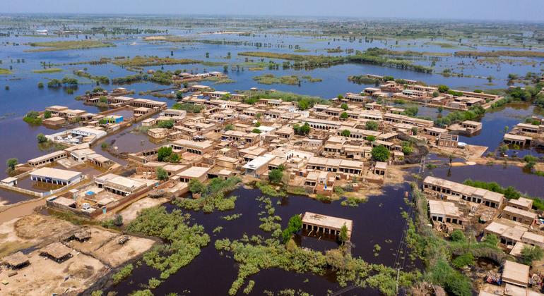 Pakistan : après les inondations, l'OMS craint les épidémies liées aux maladies hydriques